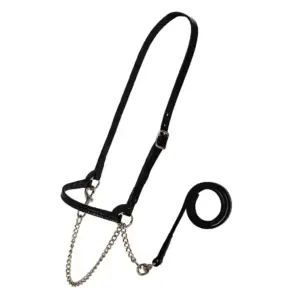 Sullivan's Dairy Halter