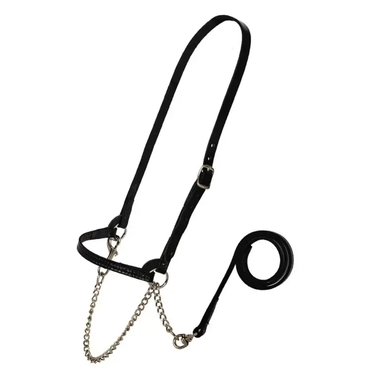 Sullivan's dairy halter