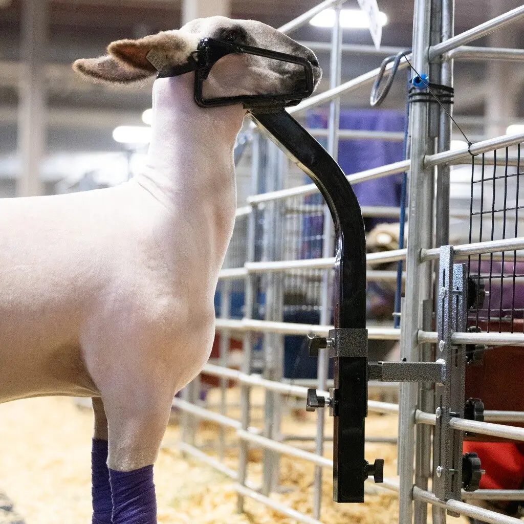 Deluxe Panel Mount - Image 5