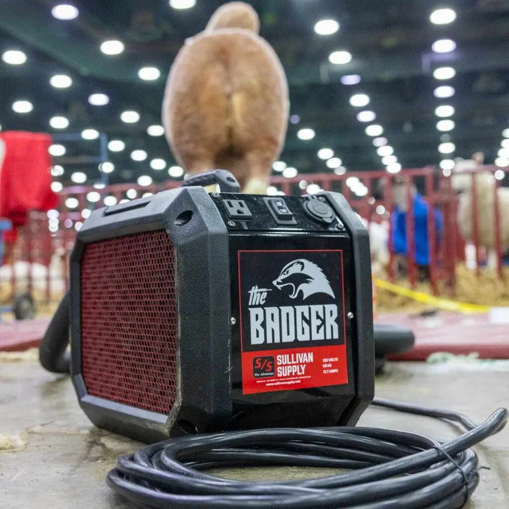 The Badger - Image 4