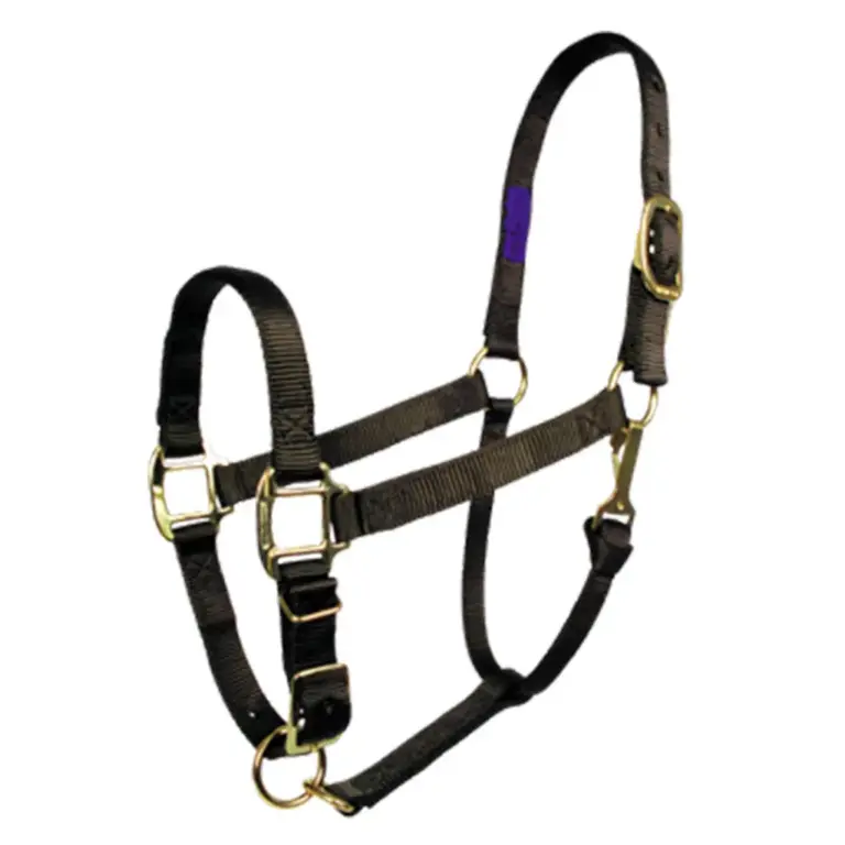 Nylon Horse Halter 1 Nylon horse halter