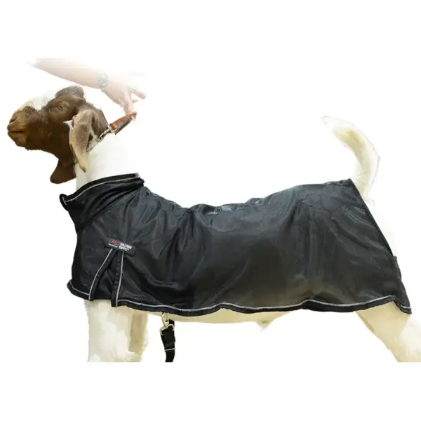 Cool Tech Zipper Goat Blanket