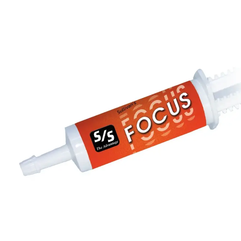 Focus Paste, 30cc